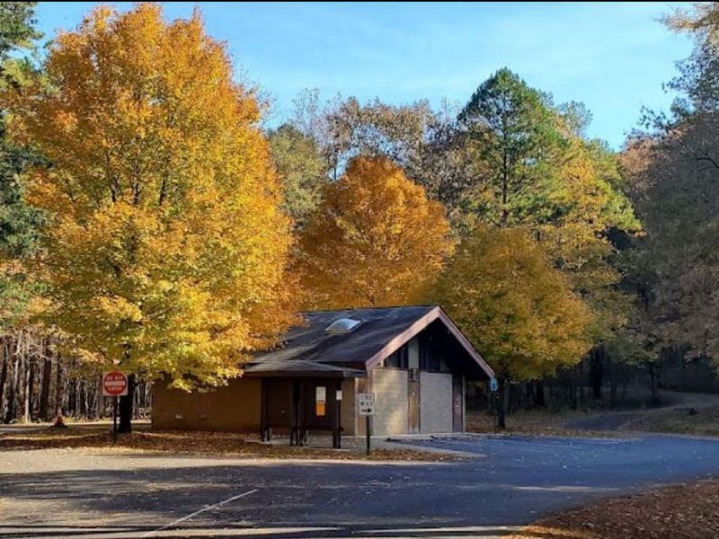 Trees through-out the campground burst with color during the cool temperatures of Fall camping.
