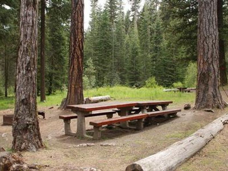 MINERAL SPRINGS GROUP