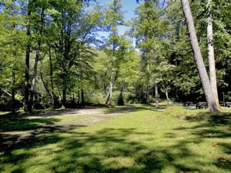 Large field at White Pines Group Site. 