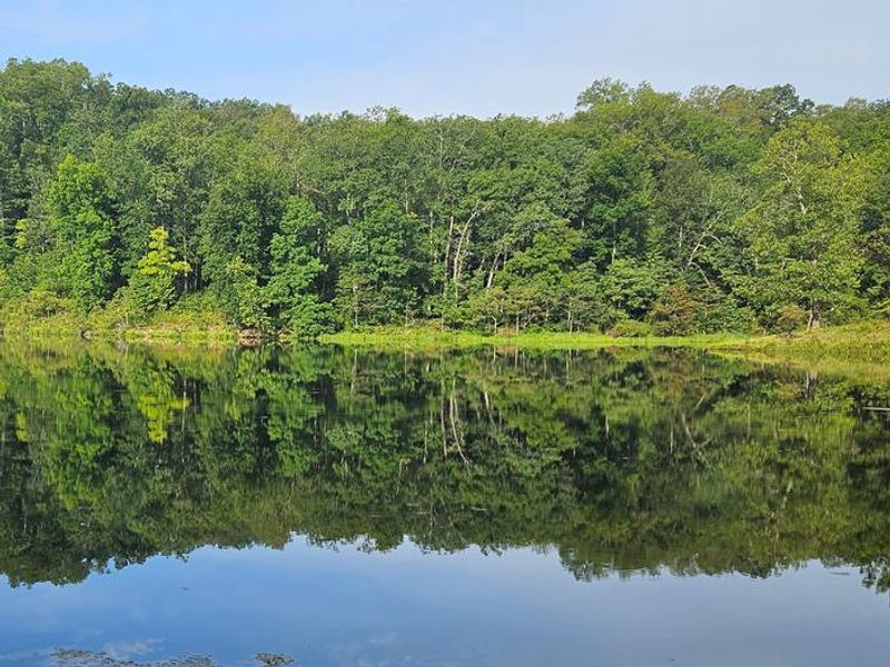 View of Loggers Lake