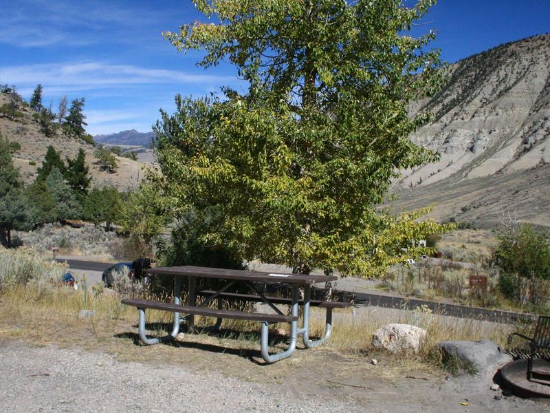 Mammoth Campsite #51, looking North