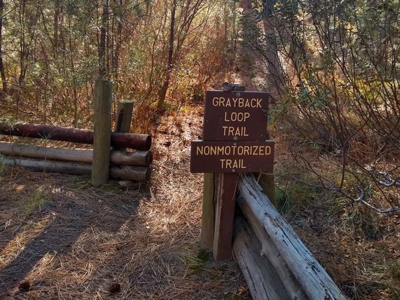 A loop trail terminating at Grayback Group begins near the entrance to the regular camping area.  A network of paths wind through the forest beyond this point.