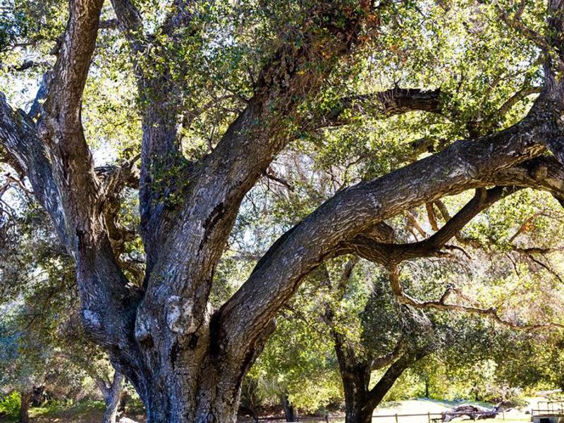 A photo of facility PARADISE CAMPGROUND 