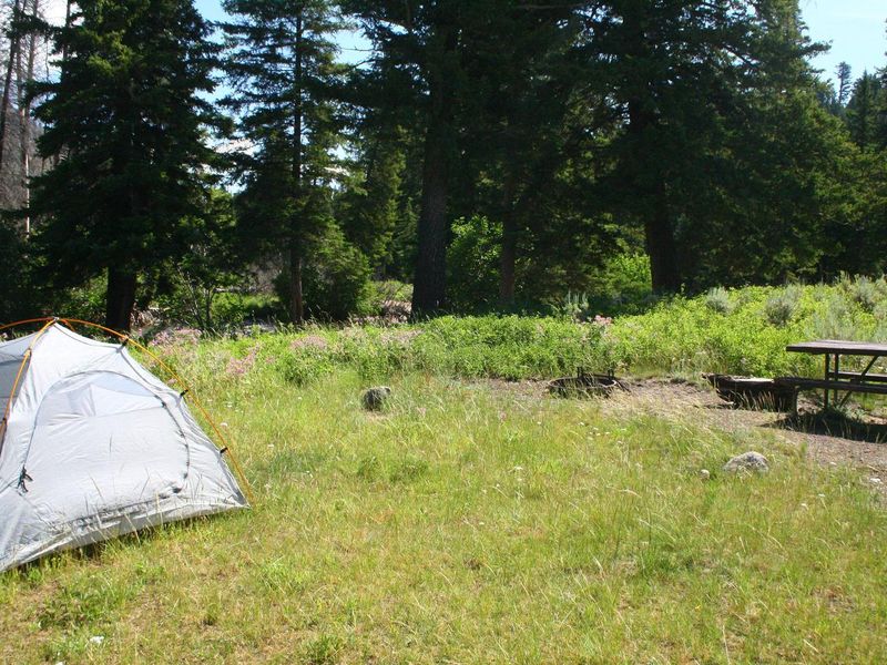 Slough Creek Campground Site #4