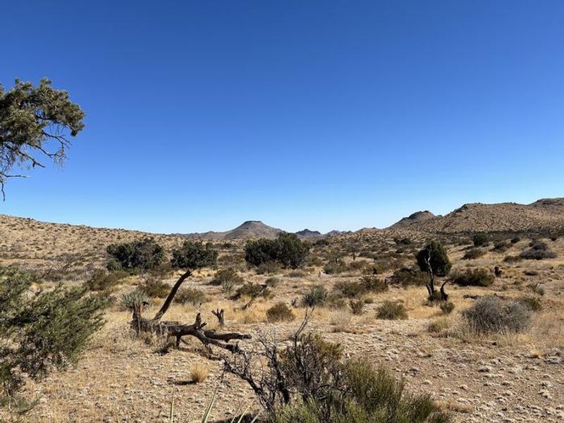 Overview of Mid Hills Campground