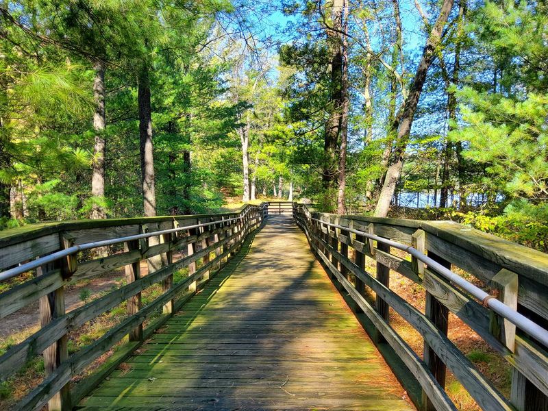 Nichols Lake South Campground