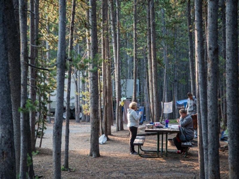 Campsite in the Canyon Campground