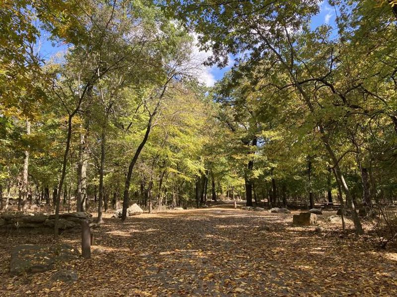 Cold Springs Campground during autumn 
