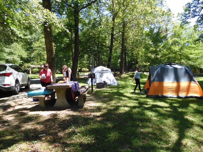 There are opportunities for tent camping at Gulpha Gorge.