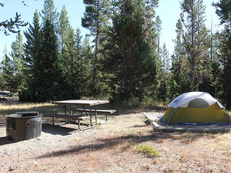 Indian Creek Campground site #66