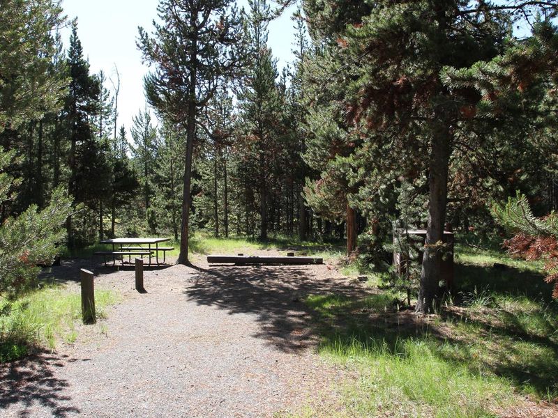 Indian Creek Campground site #32