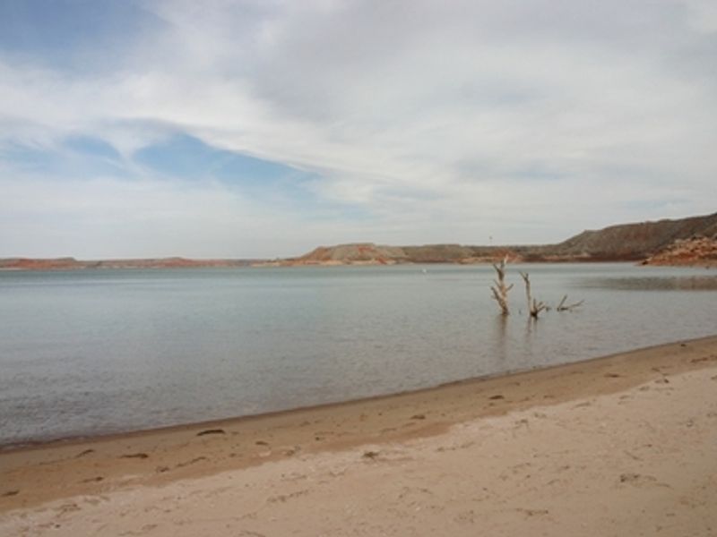 Camp right on the beach at Cedar Canyon!