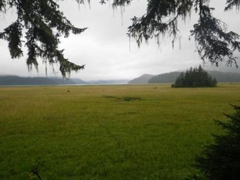 Gut Island Cabin 1 Scenery