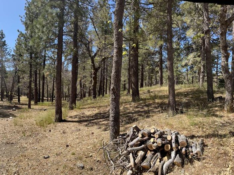 Mountain Oak Campground