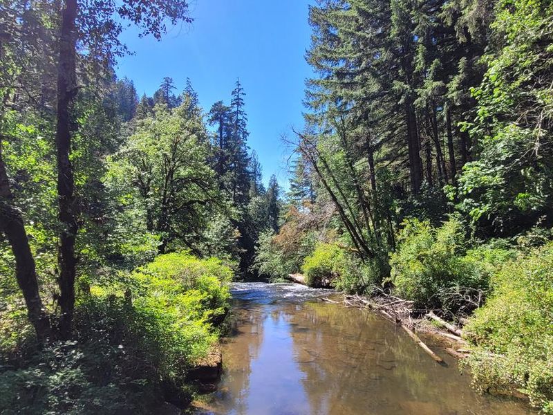 View from the bridge in the Day Use picnic area. 