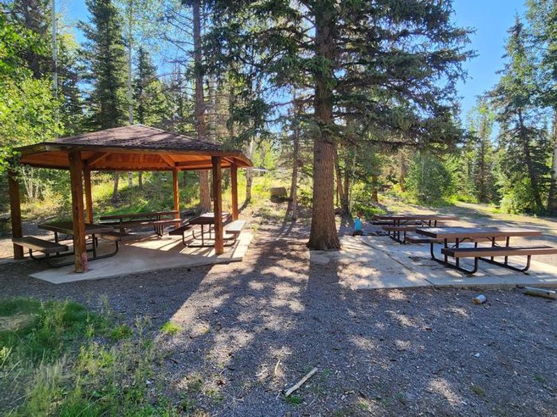 Photo of Tasha Group site pavilion and picnic tables.
