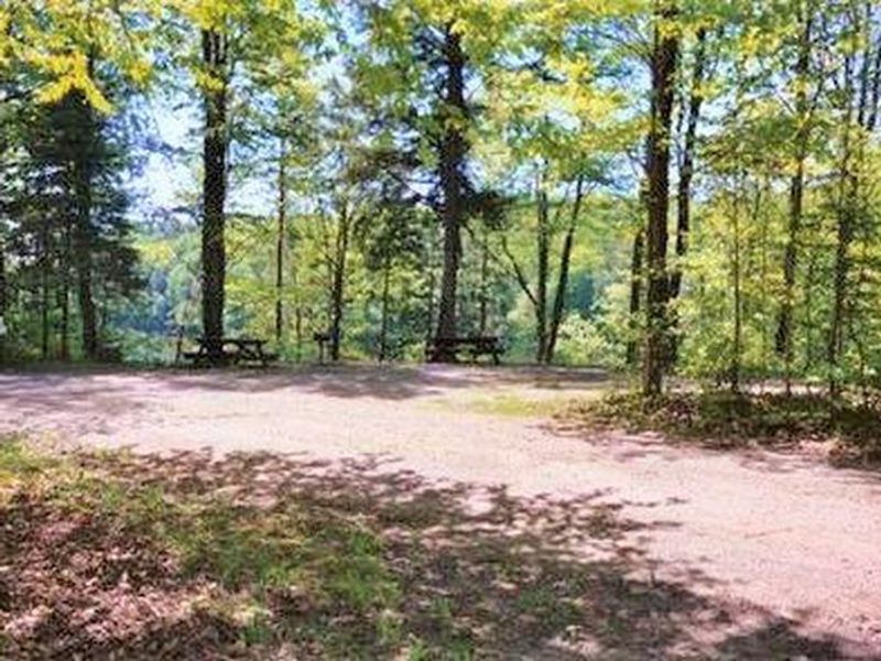 Campsite at the Eastwood campground