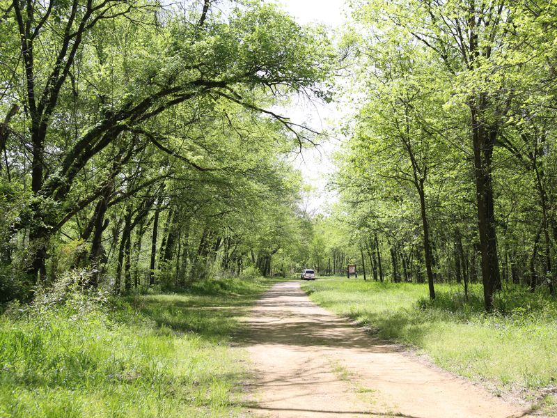 Big Tree is off the beaten path, but it is well-maintained.