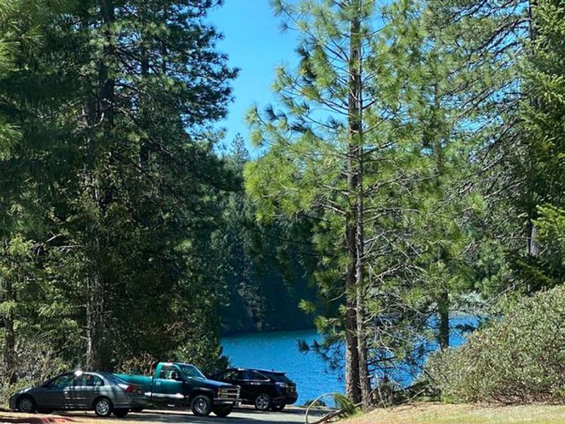 photo of a bear at Giant Gap campground