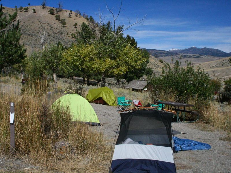 Mammoth Campsite #81