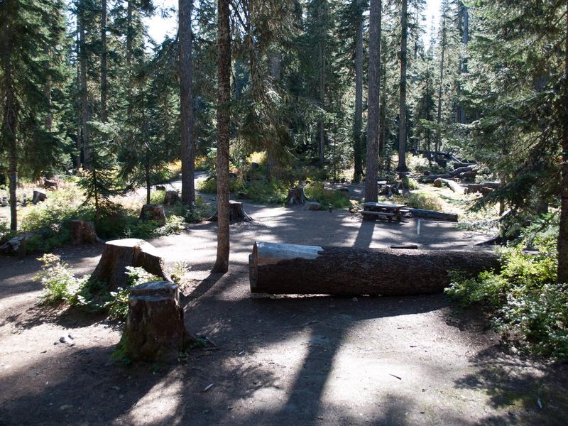 Takhlakh Lake Campsite loop