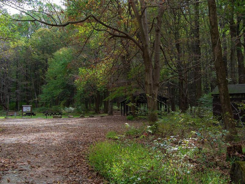 Year-round youth primitive camping. Gravel entrance road showing 1 of 2 pit toilet buildings, shared pavilion, and potable water pump. Firewood is available on site. Parking is limited to 1 vehicle per site April through November only.