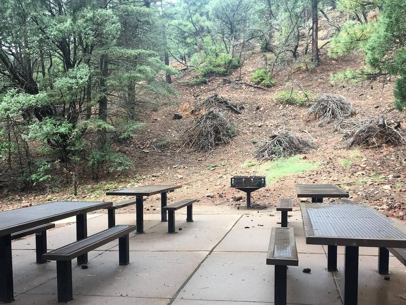 Group site picnic tables