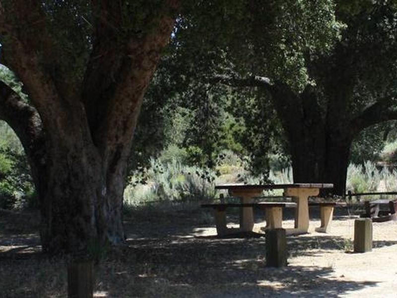 Site #4 in Boulder Oaks Campground is shaded by a beautiful Oak tree.