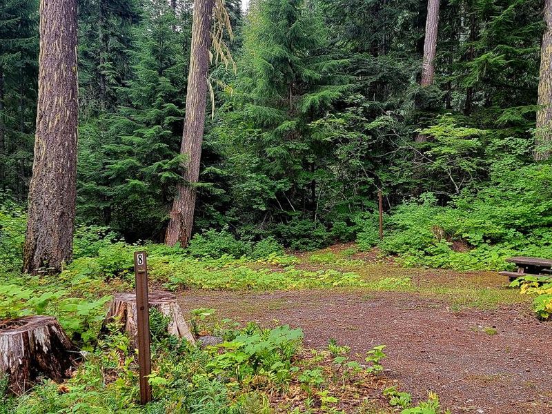 Black Pine Horse Camp - Site 8