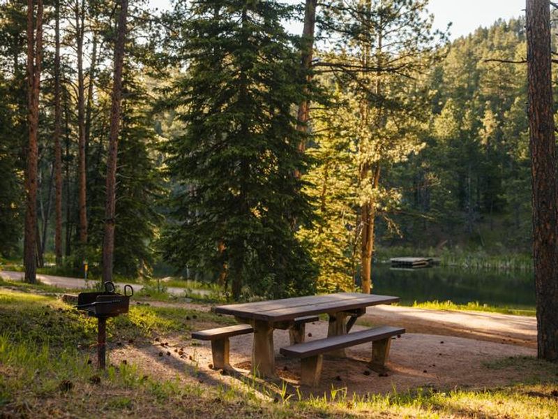 Paved walking path alongside the lake