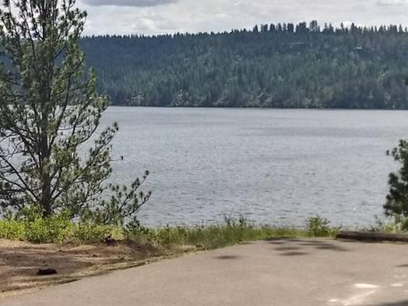 Bell Bay Campground Site 15