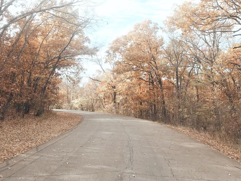 Entry road to Redbud Bay Campground in the fall