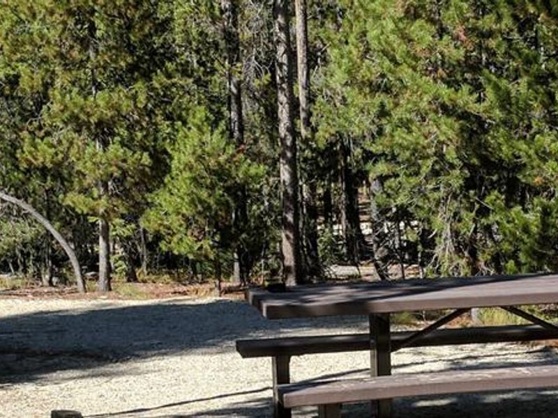 Boundary Creek Campsite #12