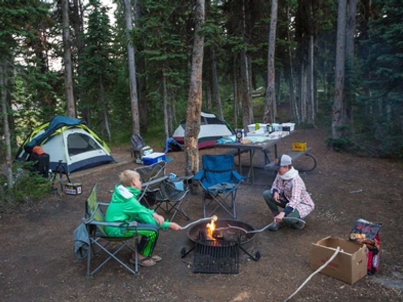 Wooded campsite at Lewis Lake
