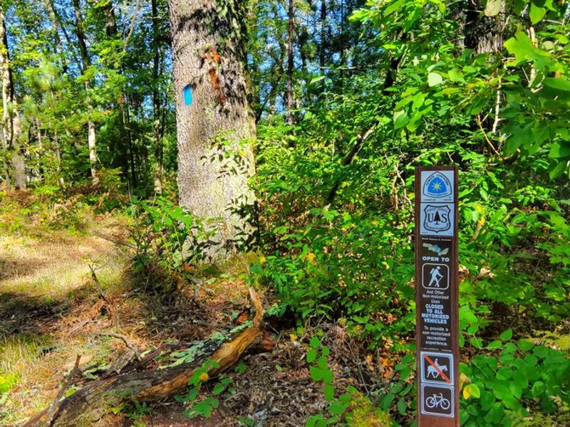 Nichols Lake South Campground
