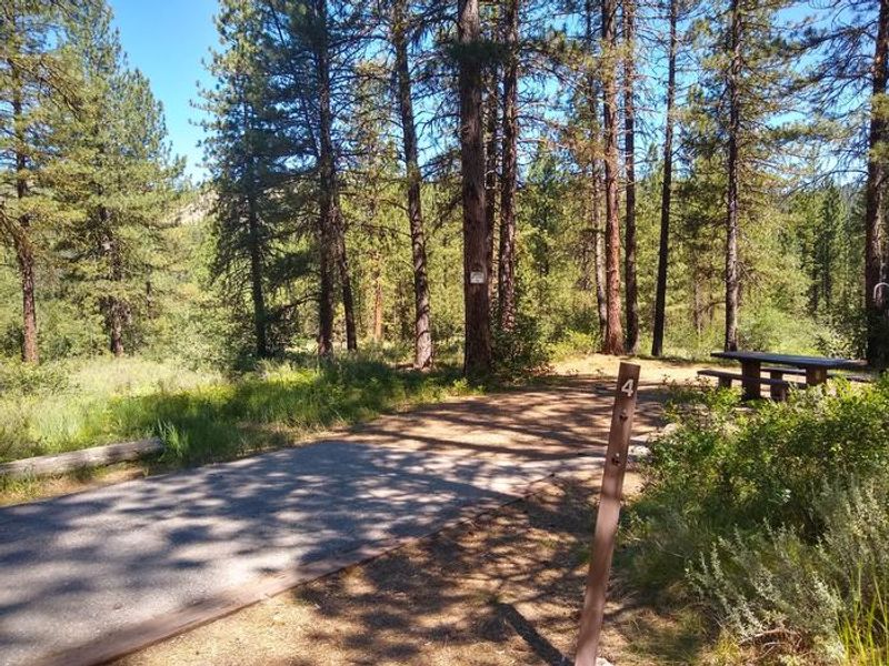 Site 4 at Grayback Gulch.