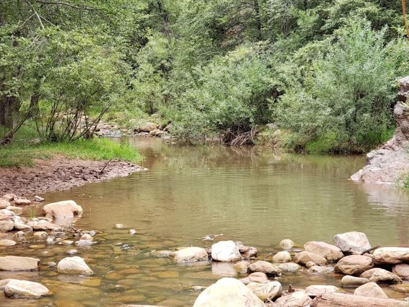 Tonto Creek adjacent to campground.