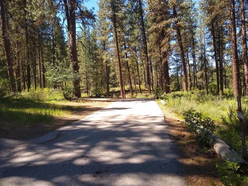 Site 1B, a double site at Grayback Gulch, has a long paved driveway.