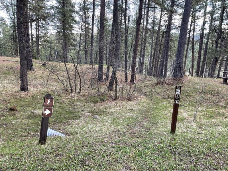 Cliff Swallow Trail Access Goes Through Campground