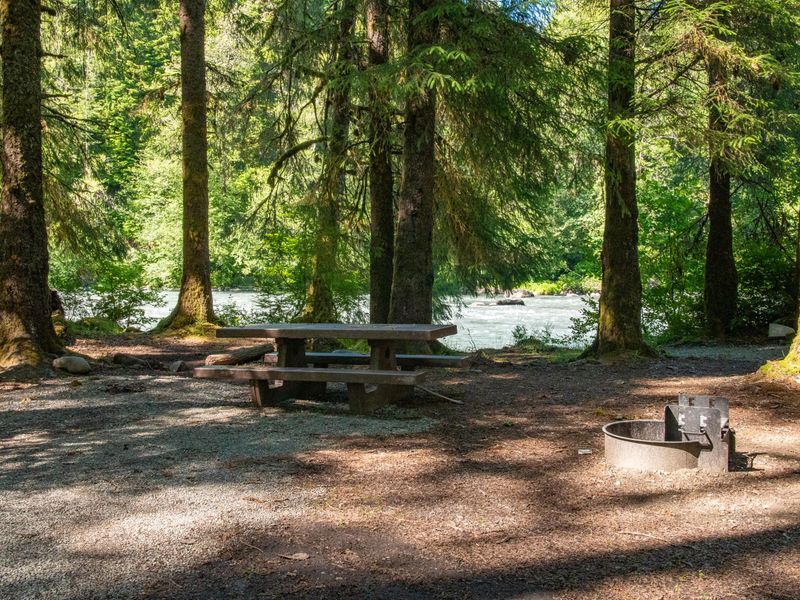 A riverside campsite in the Queets Campground.