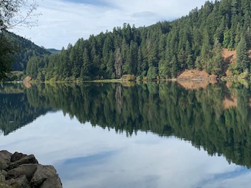 Loon Lake from East Shore Day Use Area