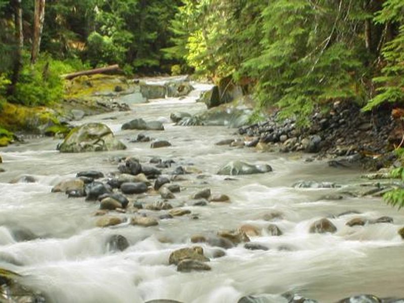 Ohanapecosh River, Mt Rainier National Park