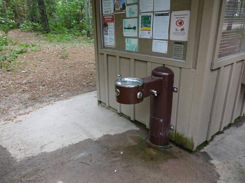 Water fountain/spigot