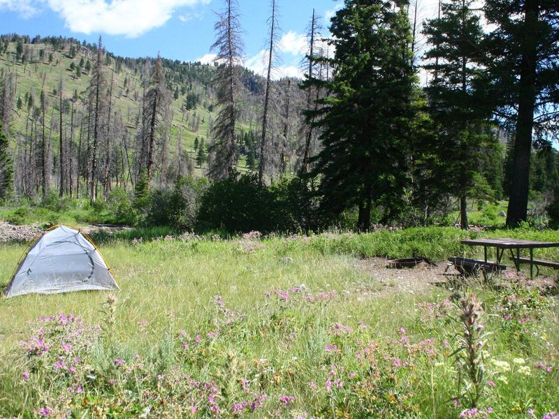 Slough Creek Campground Site #4