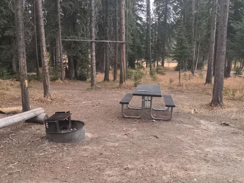 Accessible toilet at campground