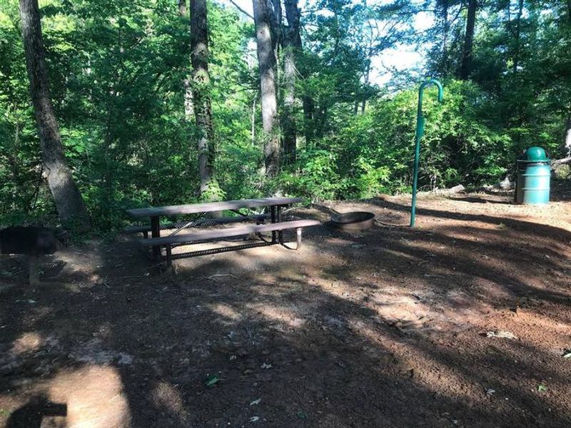 Campsite #8. Tent site with the following amenities: fire-pit, grill, picnic table, lantern pole, trash can. Located along bayou.