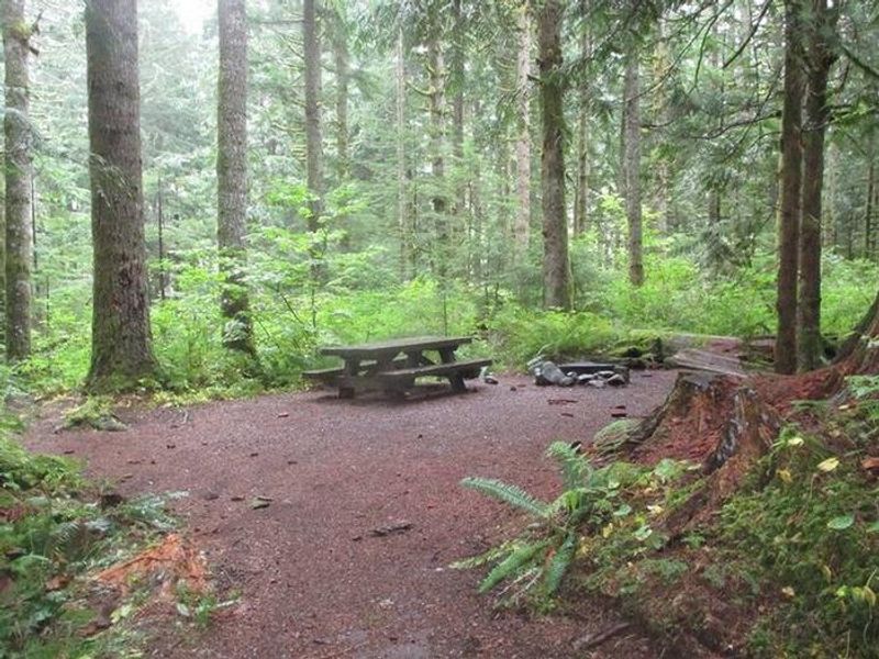 Tinkham Campsite