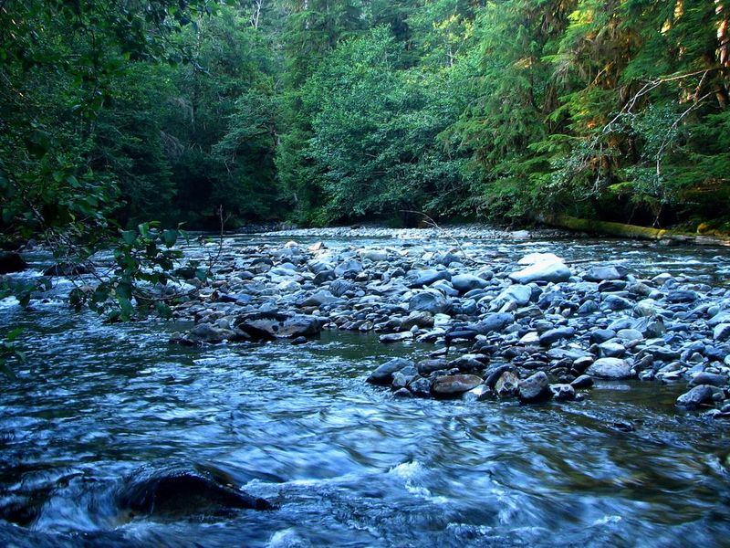 Skokomish River
