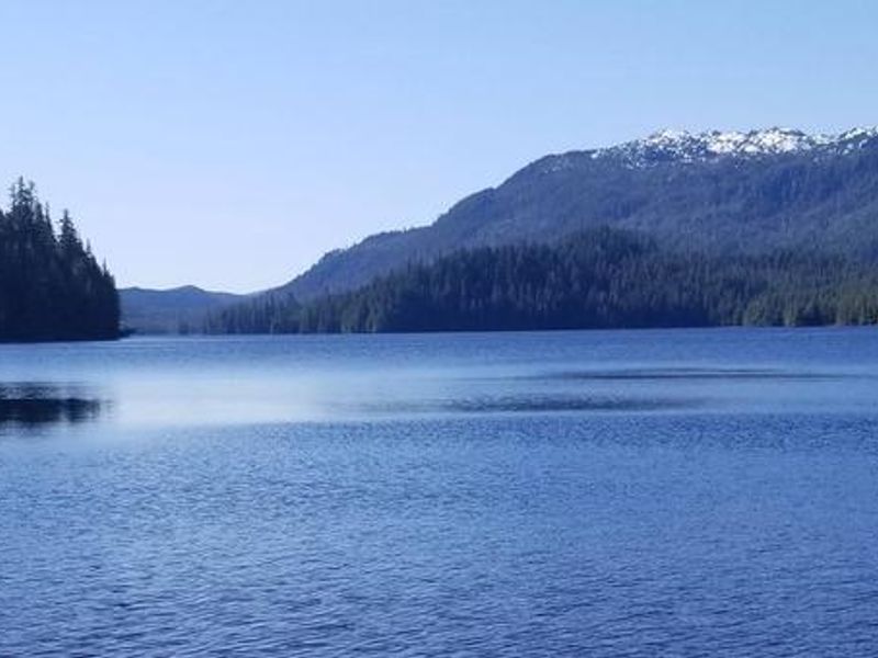 View from Salmon Bay Lake Cabin