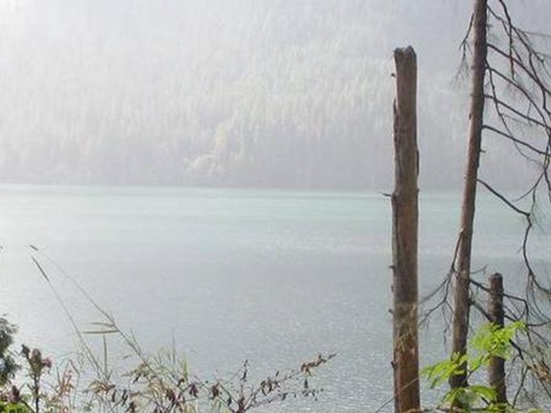 View of Mt. Baker Lake